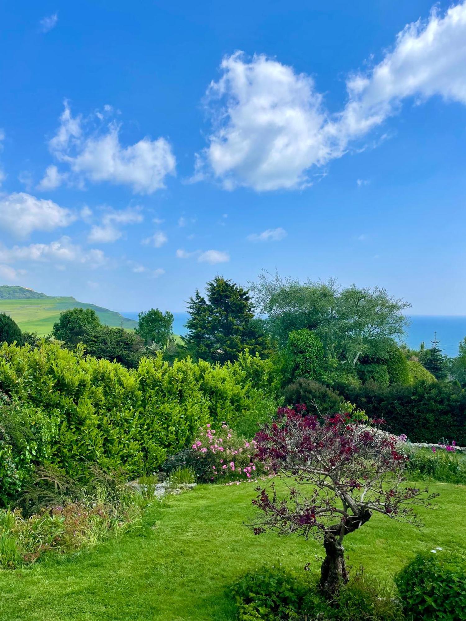 Stunning Charmouth Property With Bay Views! Buitenkant foto