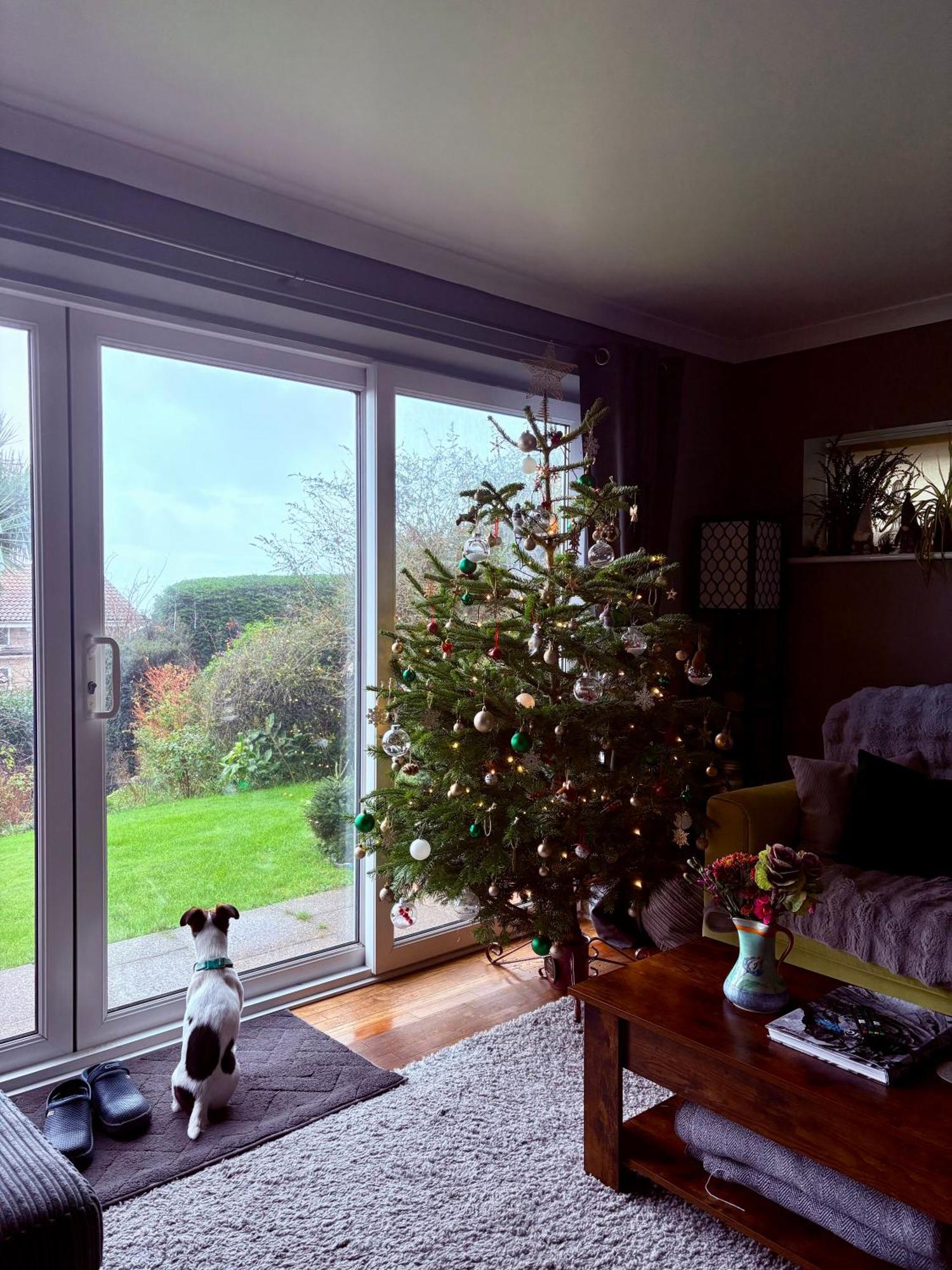 Stunning Charmouth Property With Bay Views! Buitenkant foto